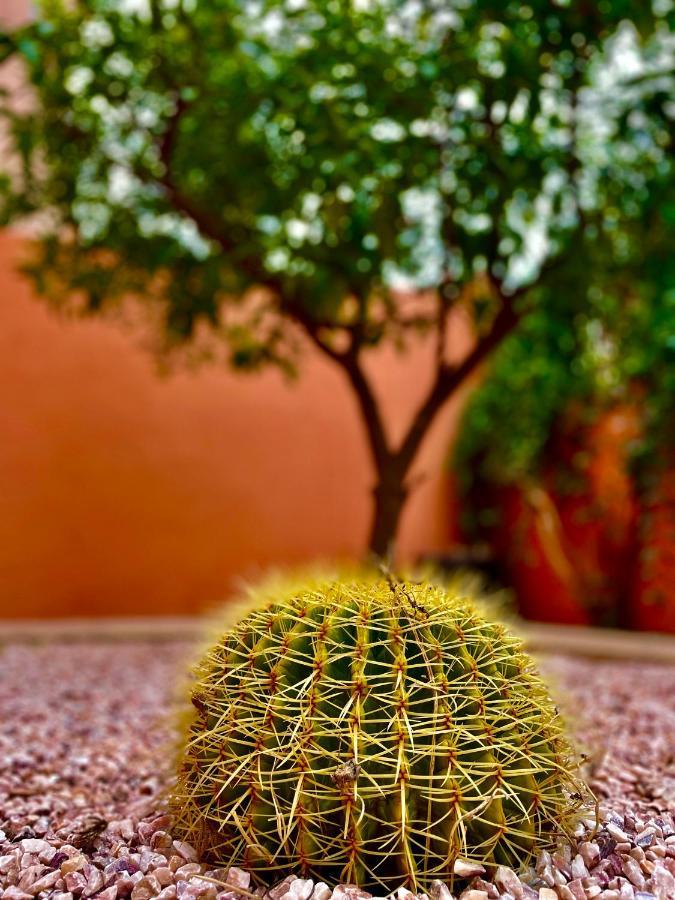 Villa Kalthoum Marrakesh Ngoại thất bức ảnh